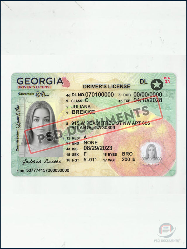 Georgia Driver's License New PSD Template | PSD Documents