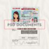 Illinois Driving License PSD New