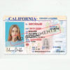 California Driving License Template