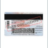 Texas Identification card PSD Template back