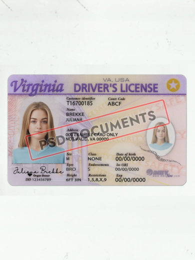 Virginia Drivers License