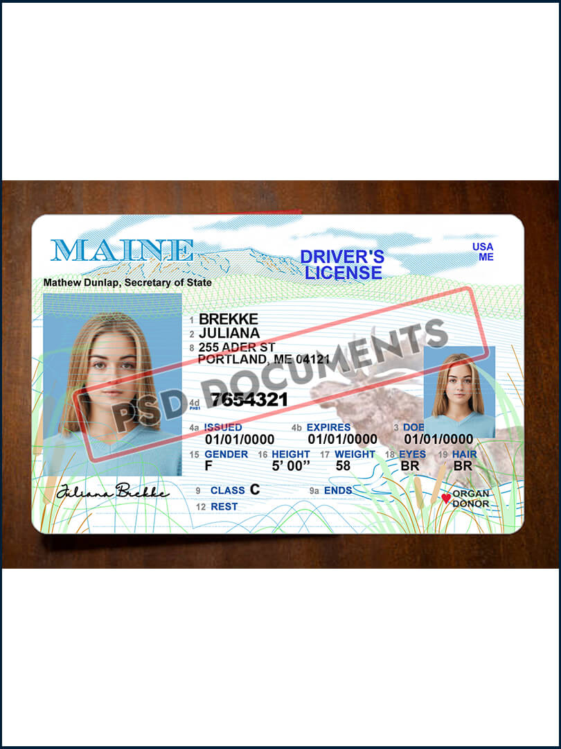 Maine Driver License