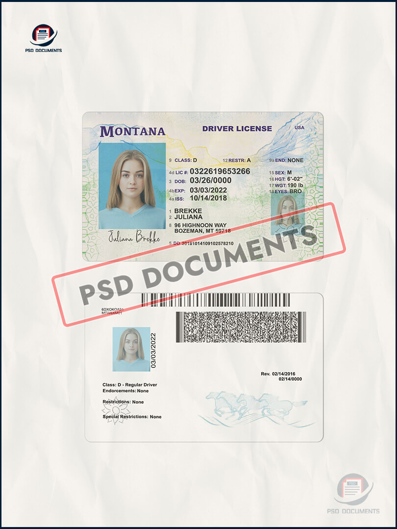 Montana Driving License PSD Template Psd Documents