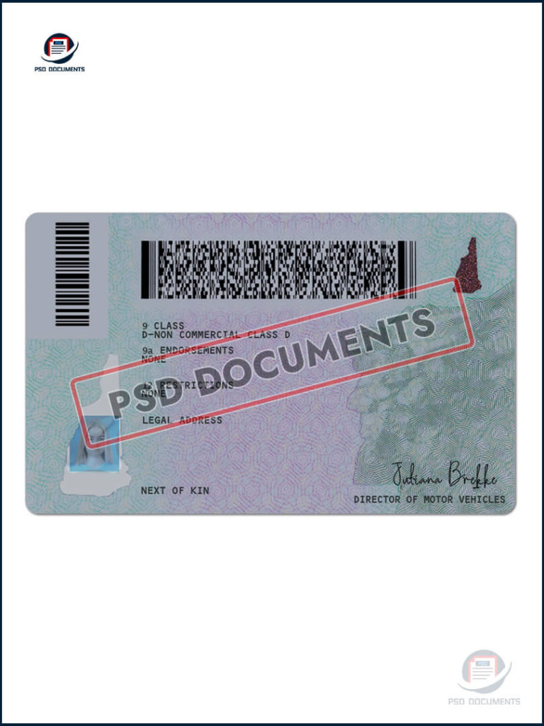 New Hampshire Driver License PSD Template | PSD Documents
