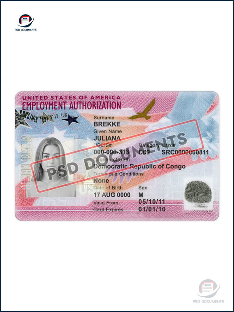 Usa employment authorization card template psd documents