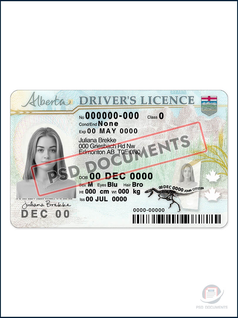 Alberta Drivers License