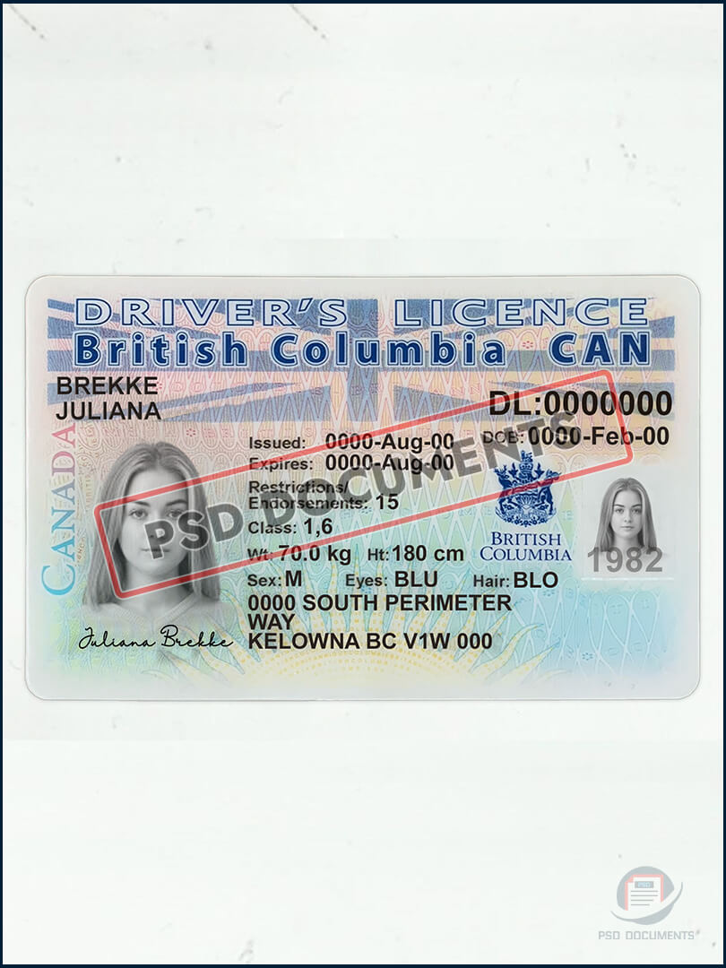 British Columbia Driver License