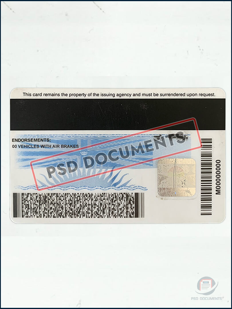 PsdDocuments British Columbia Can Driver License PSD Template2