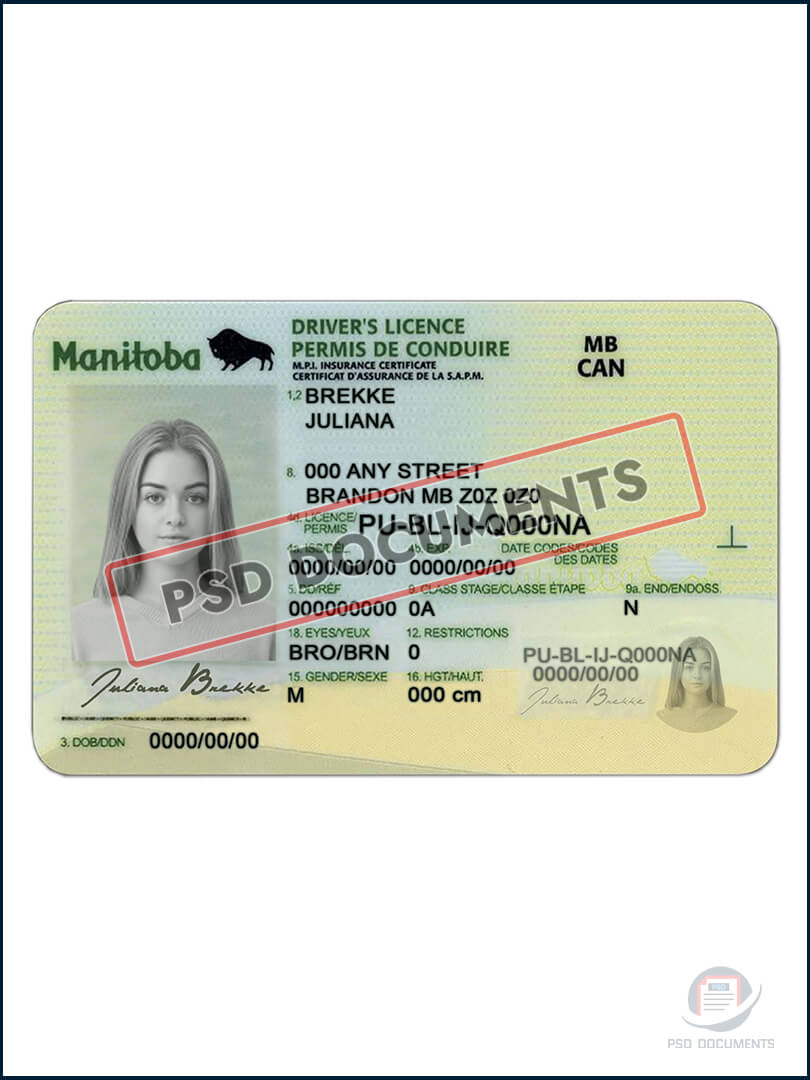 Manitoba Driving License