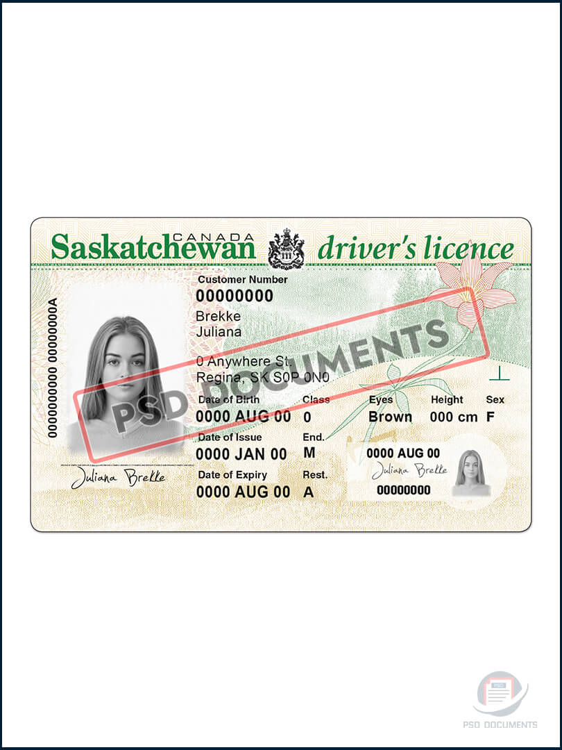 Saskatchewan Driving License