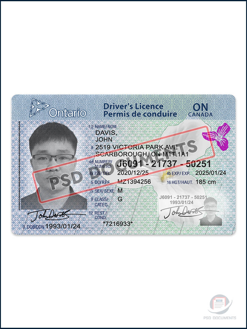 Ontario Driver License