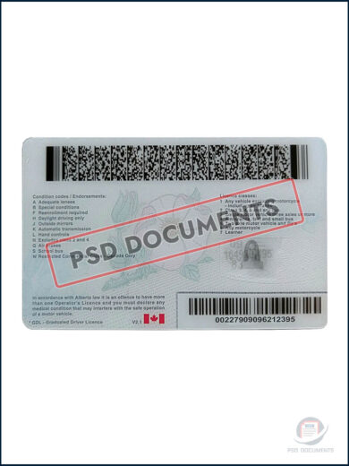 Alberta Operators Licence - Image 2