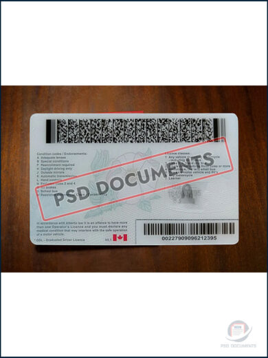 Alberta Operators Licence - Image 3
